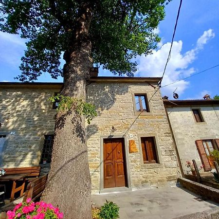 Casina La Quercia Apartment Санта София Екстериор снимка