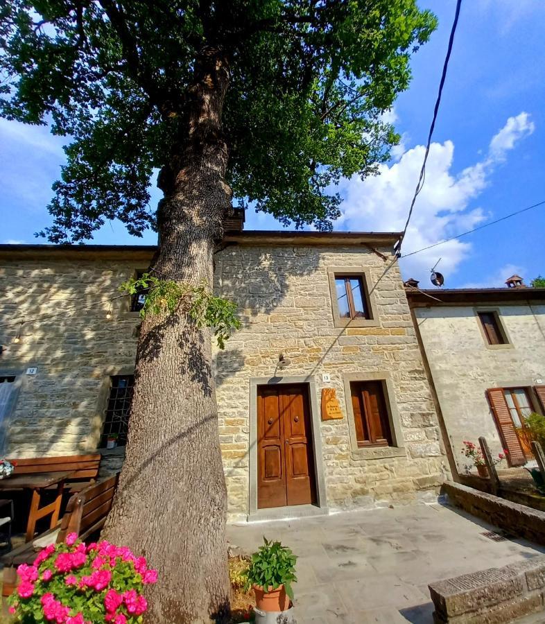 Casina La Quercia Apartment Санта София Екстериор снимка