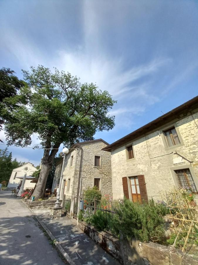Casina La Quercia Apartment Санта София Екстериор снимка