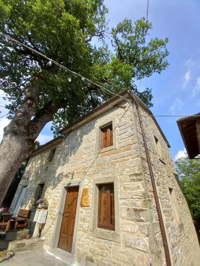 Casina La Quercia Apartment Санта София Екстериор снимка